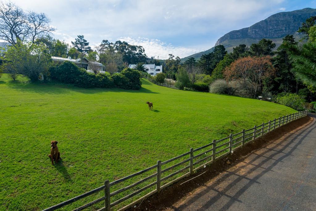 De Molen Guest House Somerset West Eksteriør billede